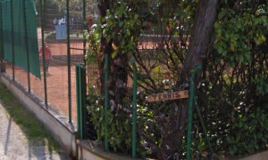 Tennis Club Collina Verde